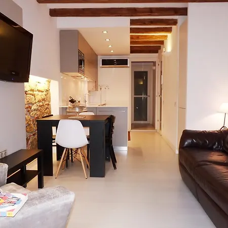 Apartment In Poble Sec *